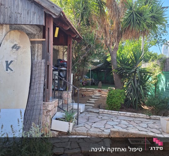שביל אבן בגינה עם עציצים וצמחייה ירוקה
